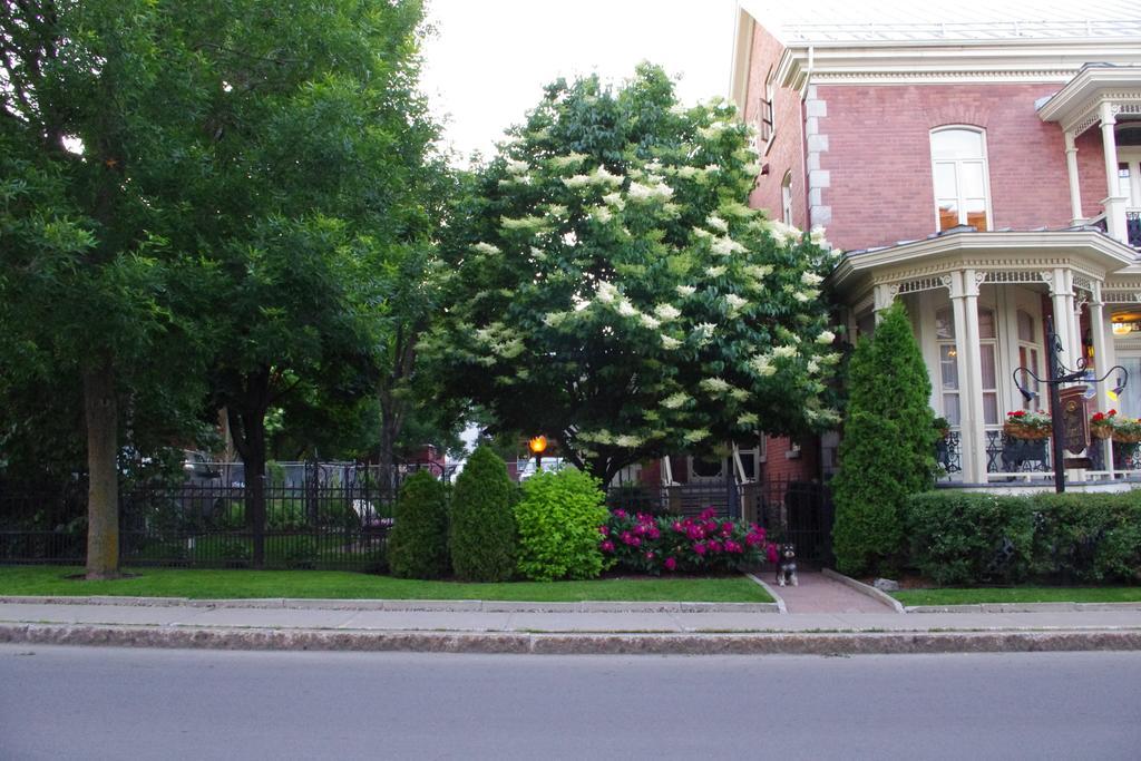 Gite LoiselleTrois-Rivières エクステリア 写真